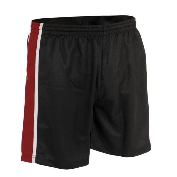 P231 - School Panelled Unisex Sports Shorts - Junior Thumbnail
